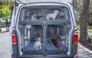 Pet Shipping Pet Shipping